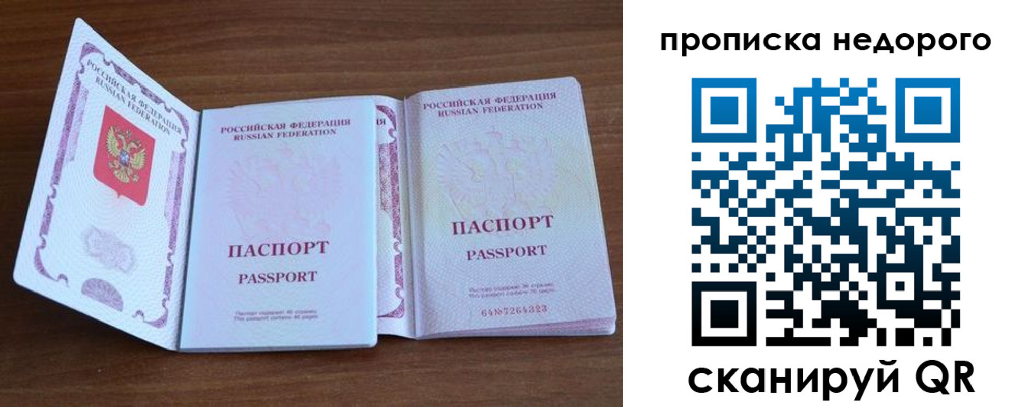 прописка поиск в Бийске